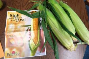 corn jaws aug (2)